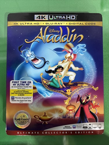 Aladdin the walt disney - aladdin,